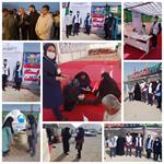 حضور فعال نیروها یبهداشت خانواده در موکبها