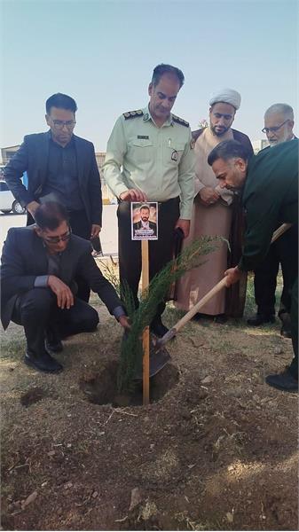 کاشت نهال به یاد شهید سلامت شهرستان سرپل ذهاب