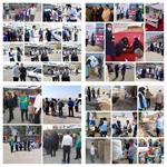 حضور فعال ومستمر واحد های کارشناس ستادی