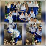 به مناسبت روز هوای پاک