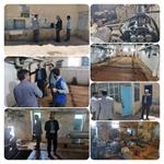 بازدید واحد بهداشت محیط