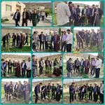 درختکاری در محوطه بیمارستان